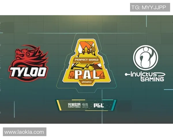 深入分析IG战队在CSGO中的团队配合与战术执行策略